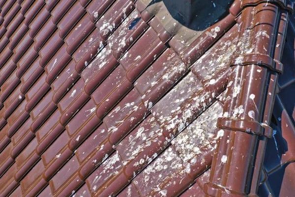 Signs Your Roofing Contractor Is the Right Choice
