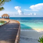 Beneath the Surface: Diving into the Maldives’ Lost Shipwrecks
