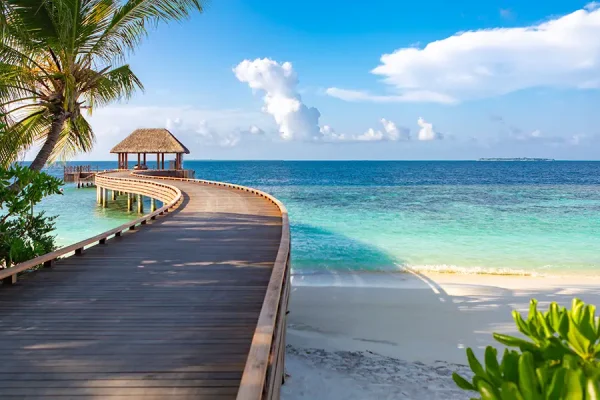 Beneath the Surface: Diving into the Maldives’ Lost Shipwrecks