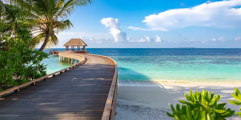Beneath the Surface: Diving into the Maldives’ Lost Shipwrecks