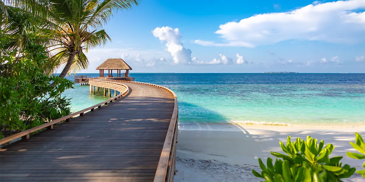 Beneath the Surface: Diving into the Maldives’ Lost Shipwrecks