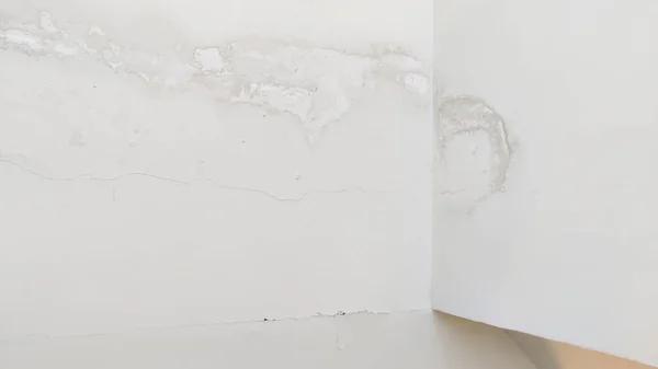 Complete Property Restoration and Water Damage Repair Solutions