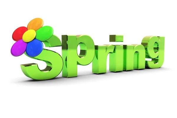 What to Expect from Professional AC Repair Spring Services