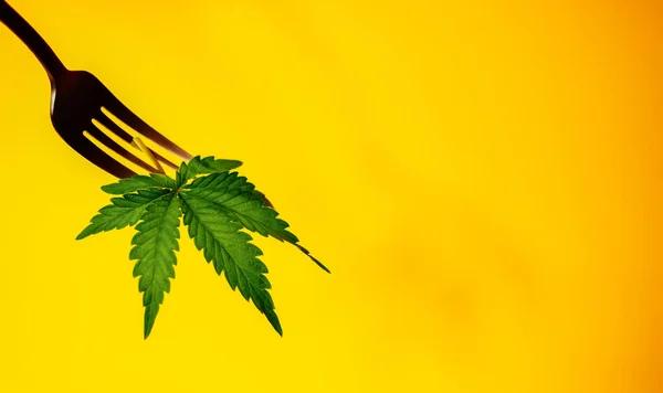 Premium Edibles Made for Quality and Flavor
