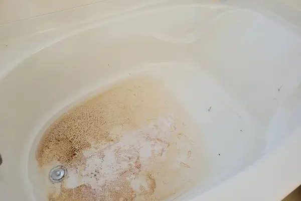 Essential Septic Inspection Severna Park Before Buying a Home