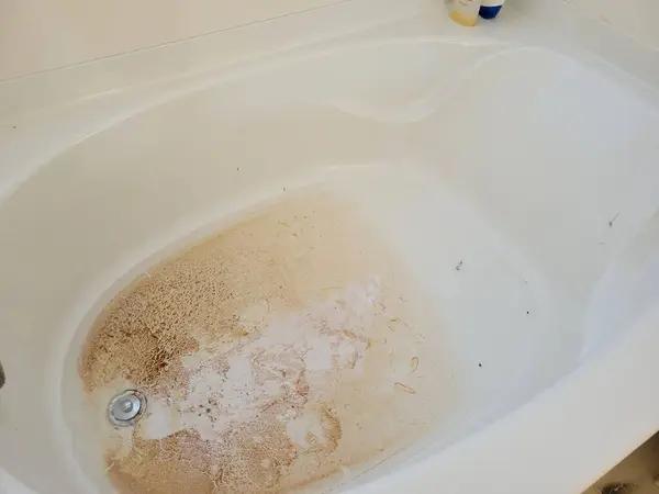 Essential Septic Inspection Severna Park Before Buying a Home